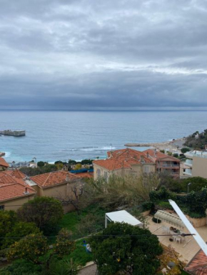 Charmant deux pièces aux portes de Monaco